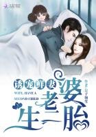 誘寵鮮妻：老婆，生二胎！
