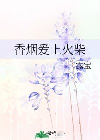 箱煙艾上火柴