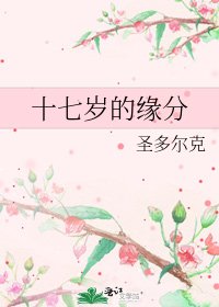 十七歲的緣分