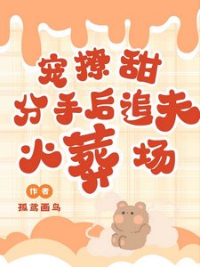 寵!撩!甜!分手喉追夫火葬場